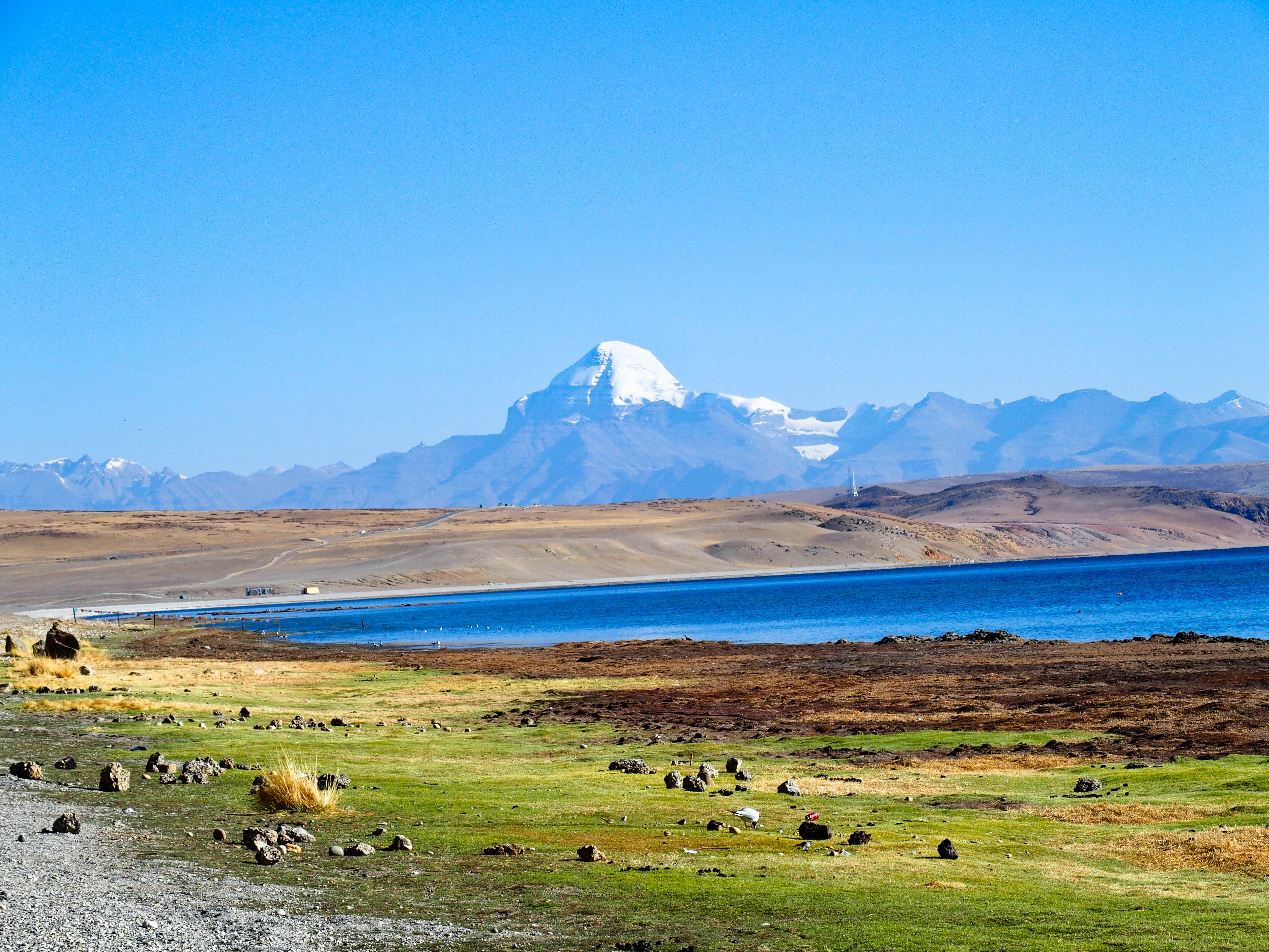 giulianabencovich tibet 2163372